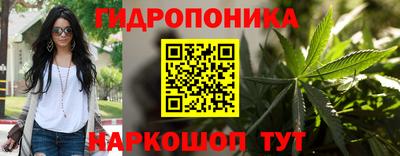 шишки Конаково