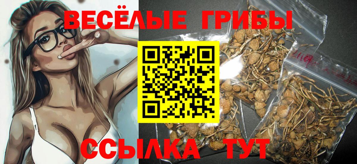 Псилоцибиновые грибы Magic Shrooms  Вход с VPN  Кандалакша 