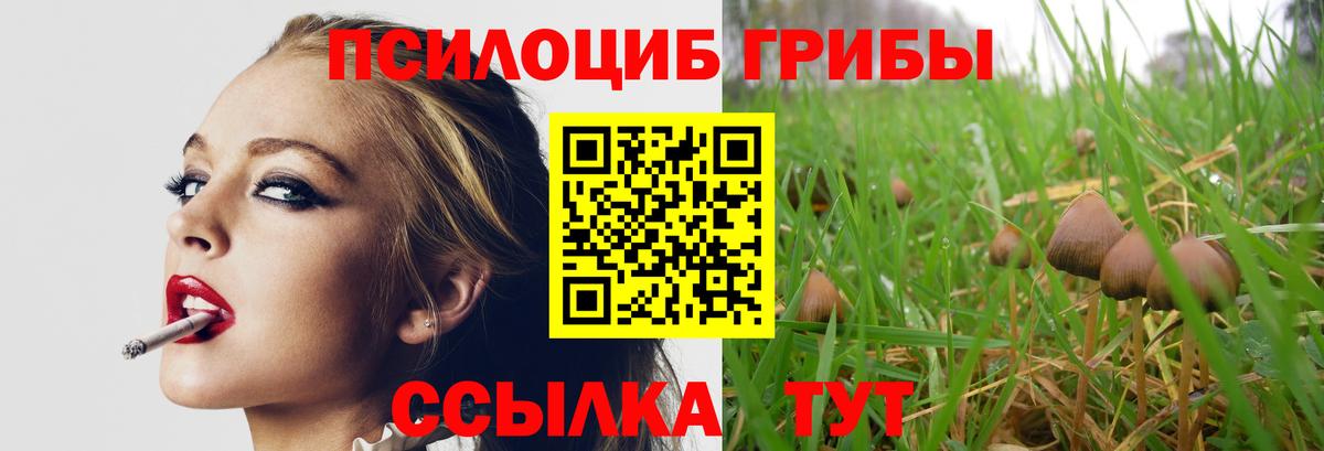 Псилоцибиновые грибы прущие грибы Кандалакша